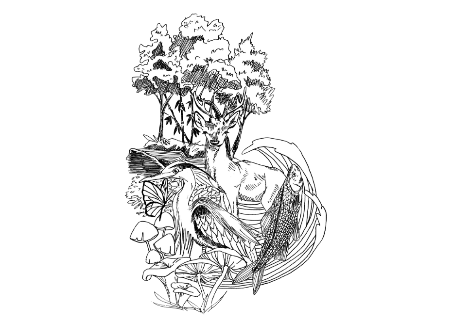 森里海と文化研究会